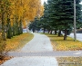 Fallada-Straße November 2016