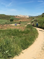 Der Weg (c) Christine Wahmkow